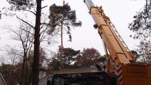 rooien van bomen met een telescoopkraan verwijderen mastbomen in gilze en goirle